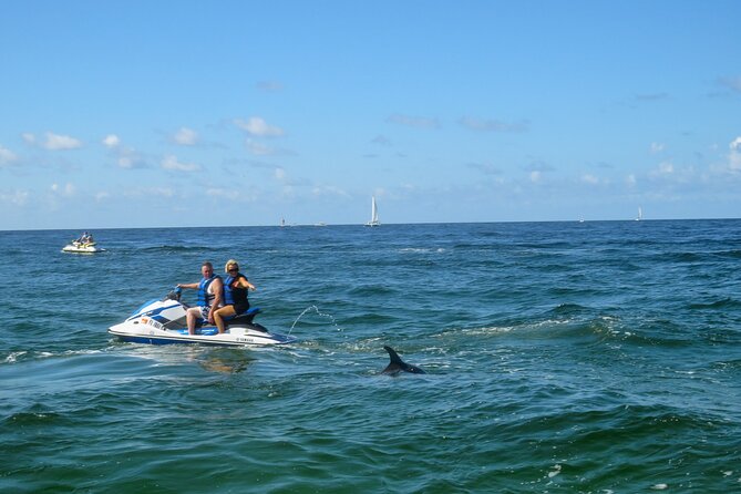 Crab Island Dolphin Jet Ski Adventure - The dolphin search: exciting, but never certain