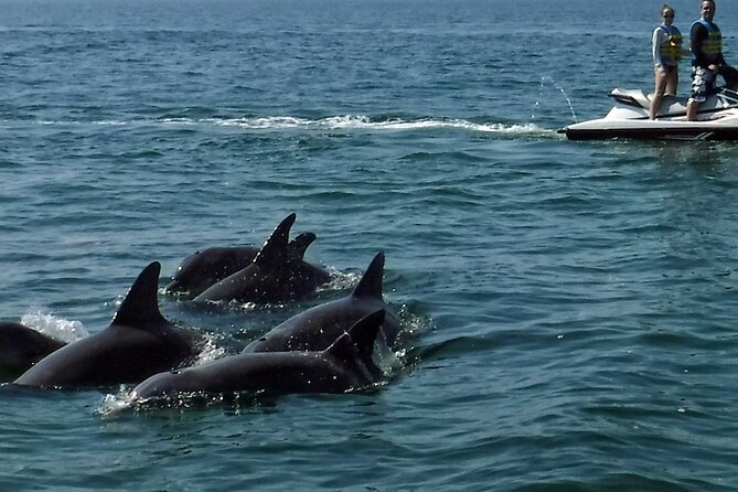 Crab Island Dolphin Jet Ski Adventure - A fair look at the $229 price