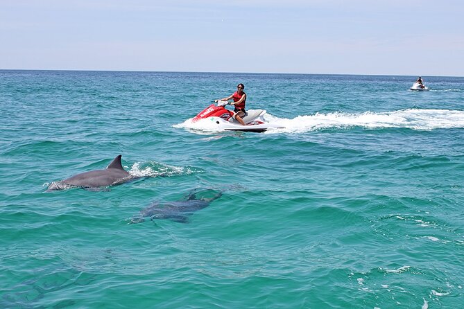 Crab Island Dolphin Jet Ski Adventure - What to expect at Crab Island and near Destin Harbor