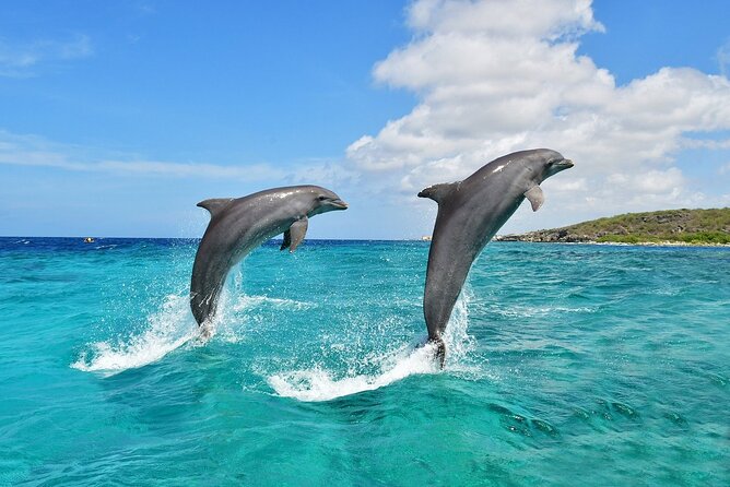 Cruise and Snorkeling with Dolphins Including Lunch from Hurghada - Banana boat and sofa rides for a livelier break