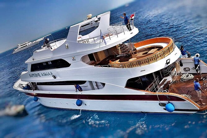 Cruise and Snorkeling with Dolphins Including Lunch from Hurghada - Practical details for a smoother day