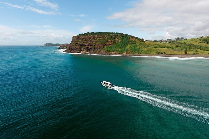 Cruise with Dolphins in Byron Bay - Who will get the most from this outing