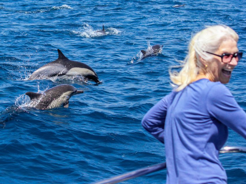 Dana Point Dolphin & Whale Watching With Underwater Viewing - Weather, comfort, and what to pack