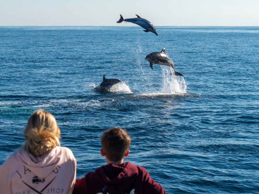Dana Point Dolphin & Whale Watching With Underwater Viewing - Is $95 a fair price?