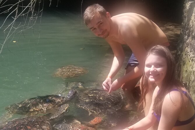 Day Trip Zanzibar: Snorkeling Dolphin Aquarium Turtles and Sunset - Lunch, water, fruit, and equipment