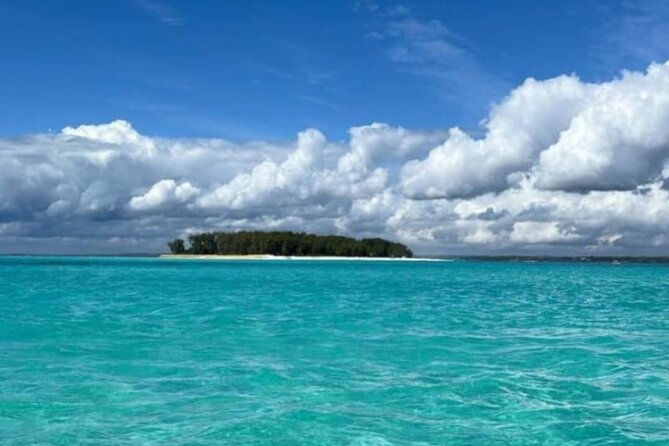 Day Trip Zanzibar: Snorkeling Dolphin Aquarium Turtles and Sunset - The people who make the day work
