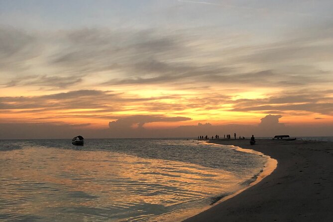 Day Trip Zanzibar: Snorkeling Dolphin Aquarium Turtles and Sunset - Kendwa Beach and a sunset finish