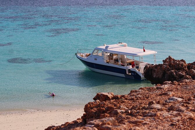 Daymaniyat island Natural Reserve and Dolphin Watching - 8:30 am Departure From Marina Bandar Al Rowdha