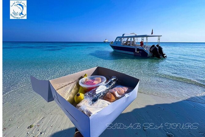 Daymaniyat island Natural Reserve and Dolphin Watching - The Return Along Muscat’s Coast