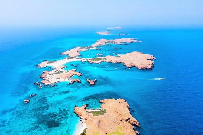 Daymaniyat island Natural Reserve and Dolphin Watching - Booking Details Worth Knowing Before You Go