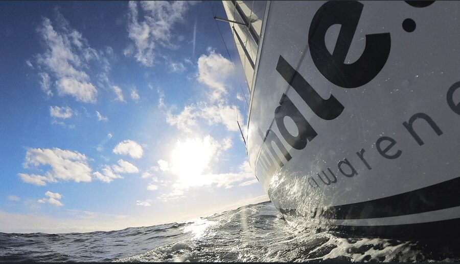 Denia: Sunset Electric Sailboat Cruise with Dolphin Spotting - The hydrophone adds sound to the search