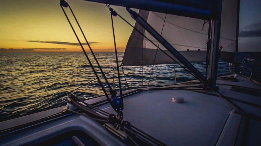 Denia: Sunset Electric Sailboat Cruise with Dolphin Spotting - What Sophia brings to the experience