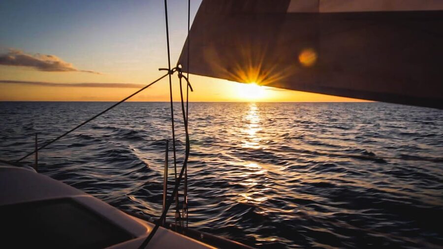 Denia: Sunset Electric Sailboat Cruise with Dolphin Spotting - Who should book this Denia cruise?