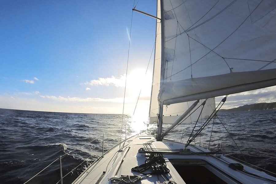 Denia: Sunset Electric Sailboat Cruise with Dolphin Spotting - Searching for dolphins and whales near Cabo de San Antonio