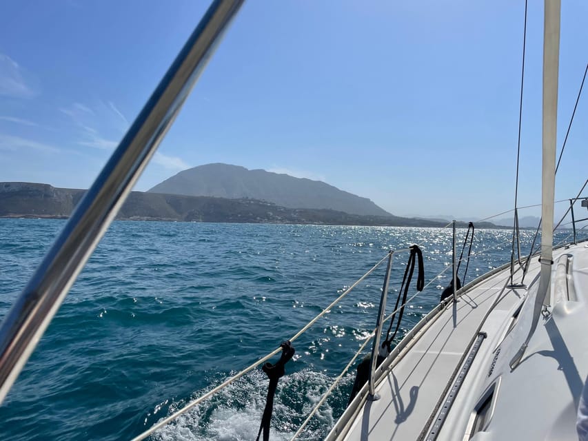 Denia: Whale and Dolphin Watching Morning Experience - Key points to know before you book