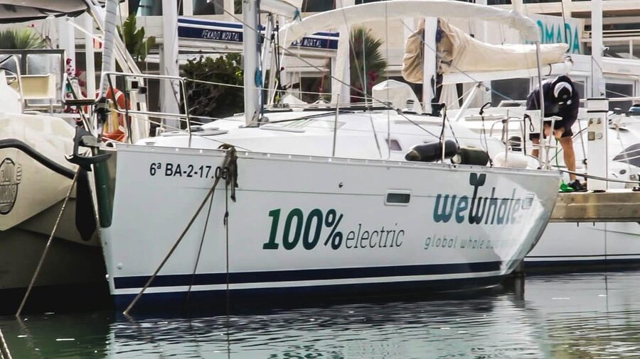 Denia: Whale and Dolphin Watching Morning Experience - Hearing the sea through the hydrophone
