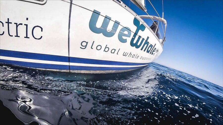 Denia: Whale and Dolphin Watching Morning Experience - Weather, seasickness, and what to pack