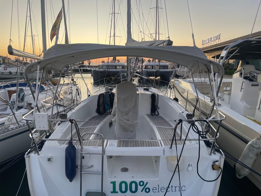 Denia: Whale and Dolphin Watching Morning Experience - The first lesson: why Denia matters for cetaceans