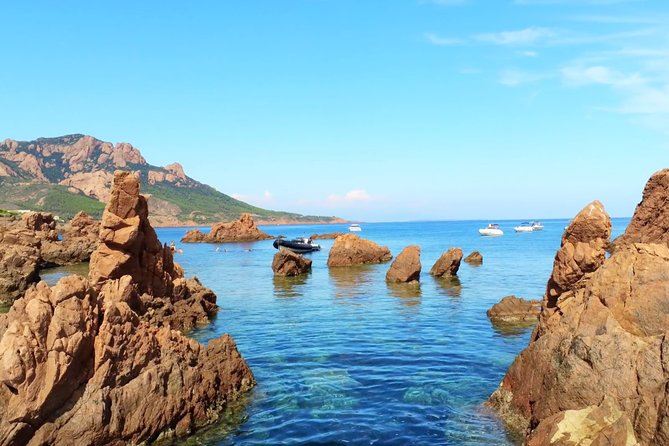 Depart Saint Raphaël: Meet the Dolphins - The wildlife encounter is handled with care