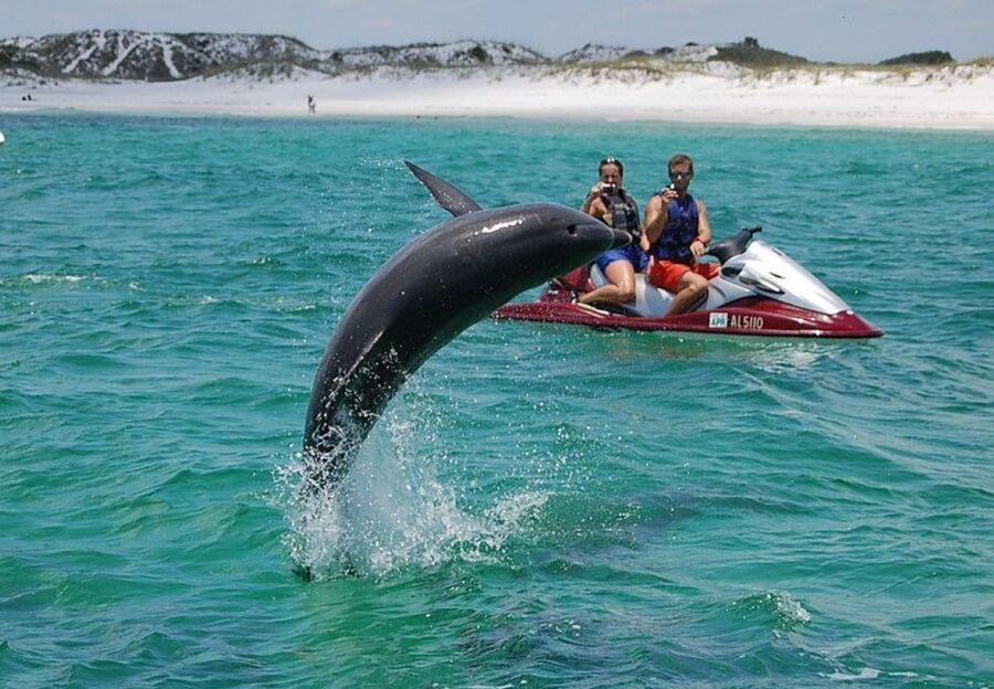 Destin: Crab Island Dolphin Jet Ski Tour - Riding through Destin Harbor and toward Crab Island