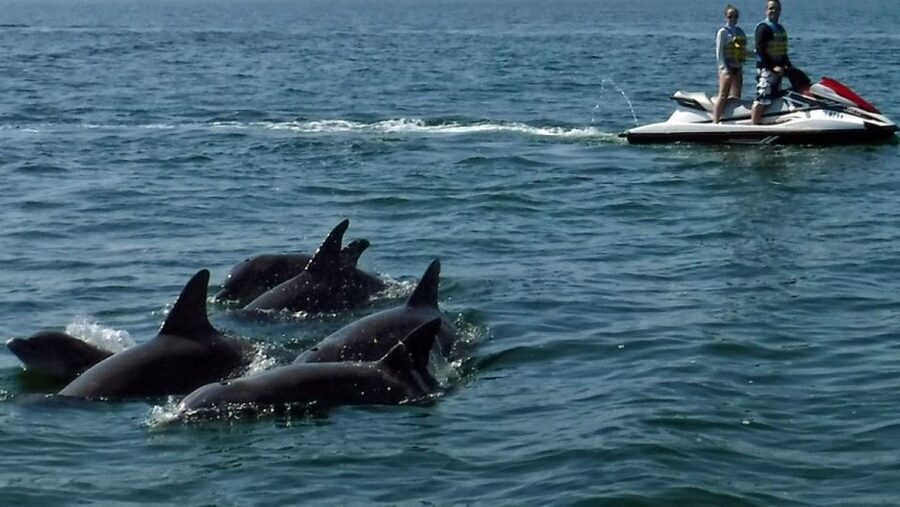 Destin: Crab Island Dolphin Jet Ski Tour - Time for photos and play at the water