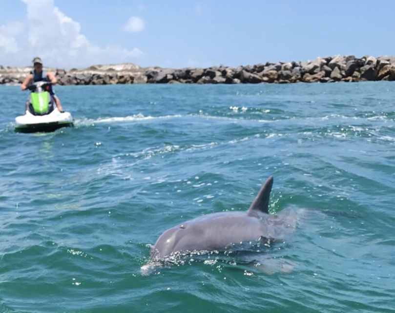 Destin: Crab Island Dolphin Jet Ski Tour - Who will enjoy this tour most