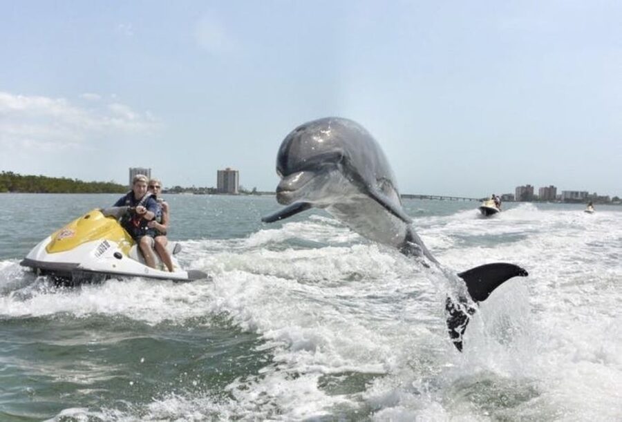 Destin: Crab Island Dolphin Jet Ski Tour - Timing, rules, and practical details