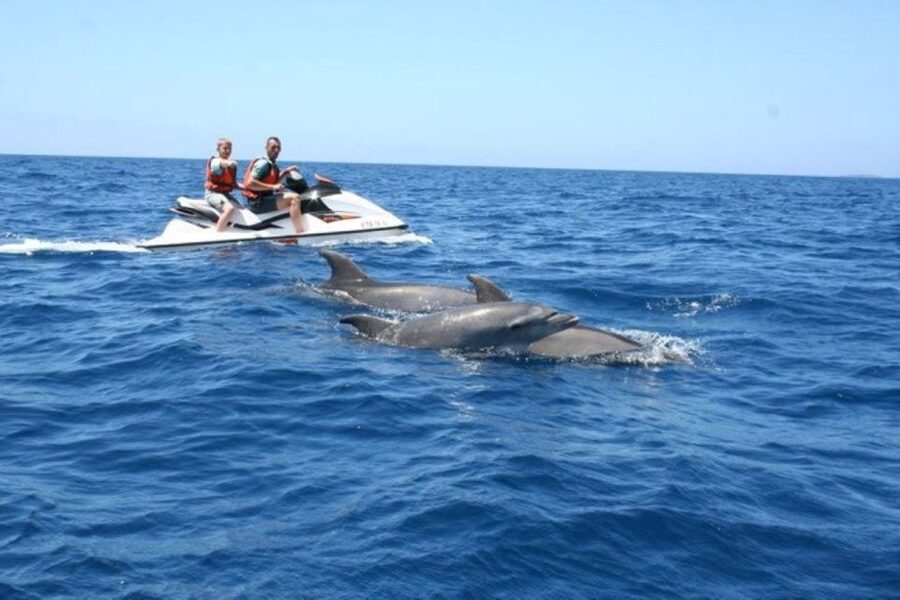 Destin: Crab Island Dolphin Jet Ski Tour - My verdict: an active dolphin outing with honest limits