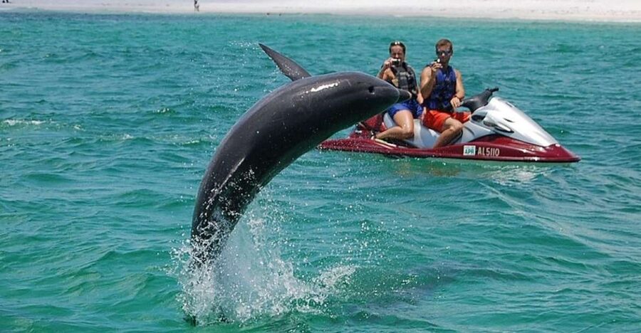 Destin: Crab Island Dolphin Jet Ski Tour - Learning to handle the jet ski