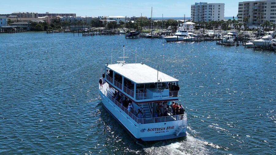 Destin: Dolphin Cruise aboard a Glass-Bottom Boat - Watching dolphins in their natural habitat