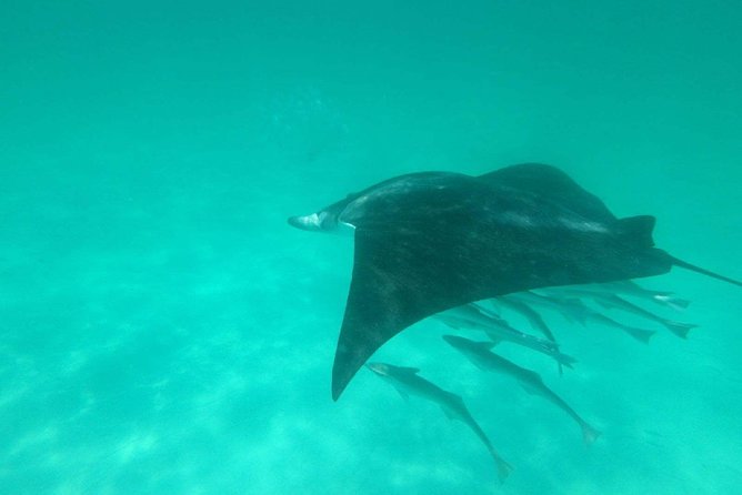 Destin Dolphin Cruise - Cruising through Destin Harbor