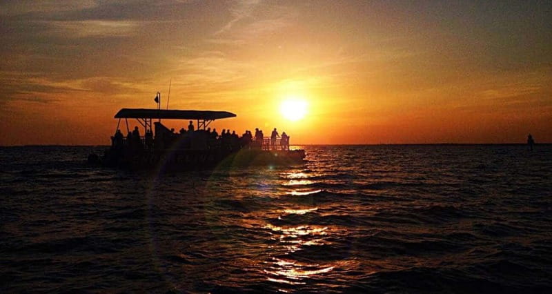 Destin: Dolphin Watching Cruise - Dolphins are likely, but not guaranteed