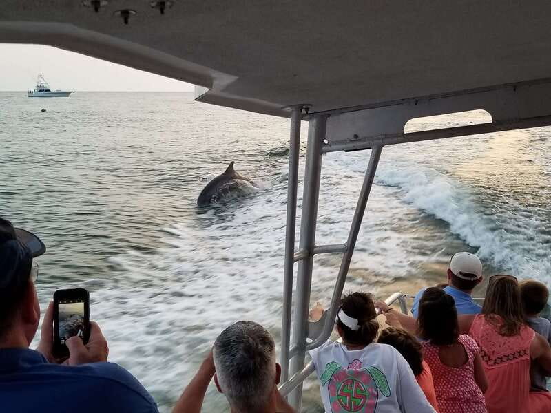 Destin: Dolphin Watching Cruise - The crew is a major part of the value