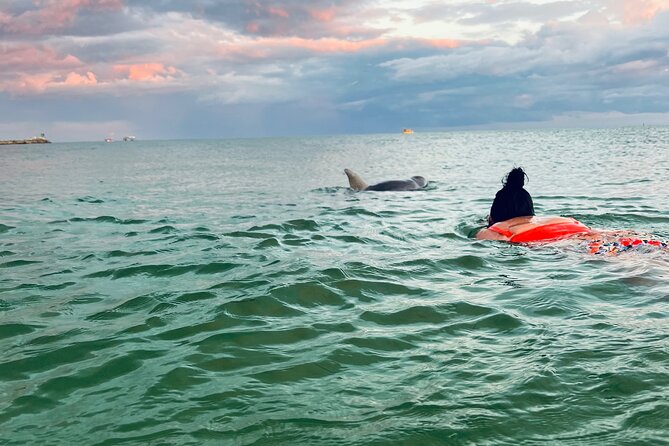 Destin Private Boat Tours Dolphin Crab Island Snorkel Sunset - Key points before you book