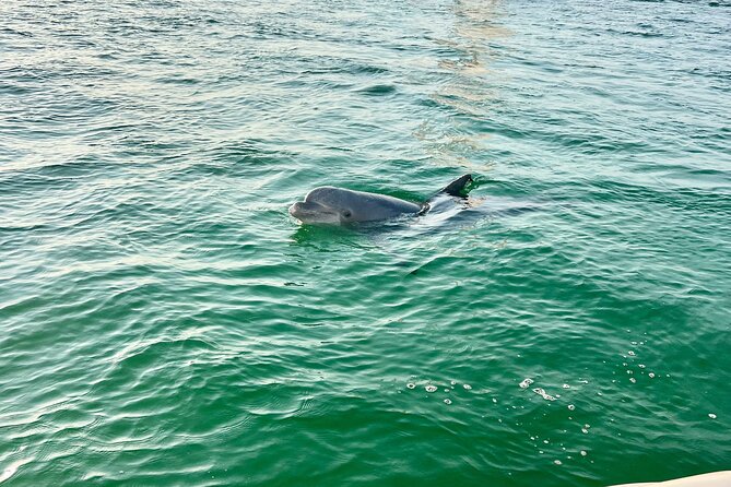 Destin Private Boat Tours Dolphin Crab Island Snorkel Sunset - What the $385 group price means