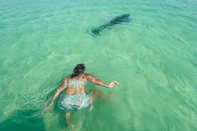 Destin Private Boat Tours Dolphin Crab Island Snorkel Sunset - The right trip length for your plans