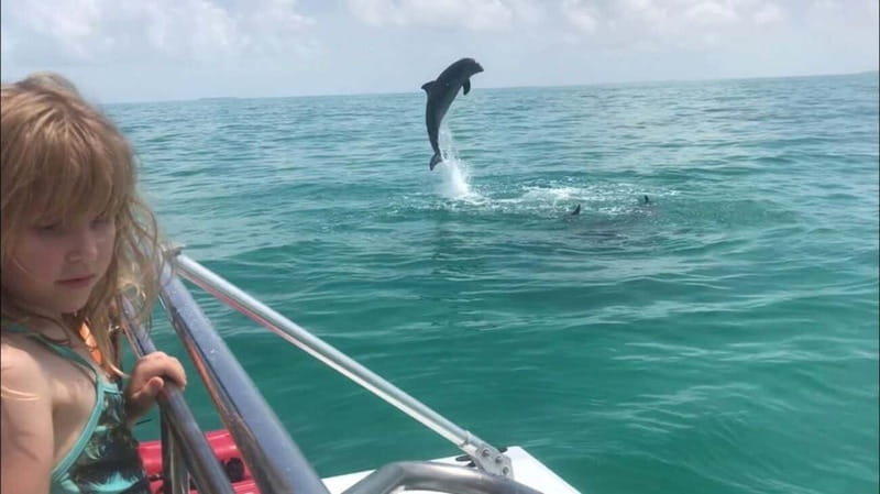Destin: Snorkeling Cruise with 2 Stops and Dolphin Watching - Equipment, comfort, and small drawbacks