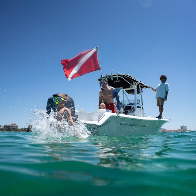 Destin: Snorkeling, Dolphins, and Crab Island - Key points to know before you book