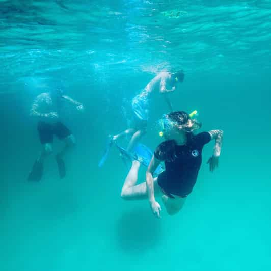 Destin: Snorkeling, Dolphins, and Crab Island - A small private boat with a big choice of plans