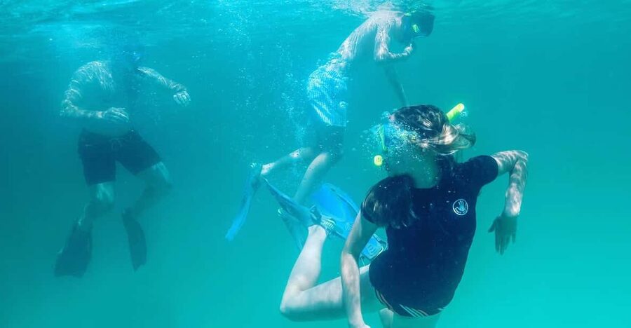 Destin: Snorkeling, Dolphins, and Crab Island - Dolphin watching in the East Pass