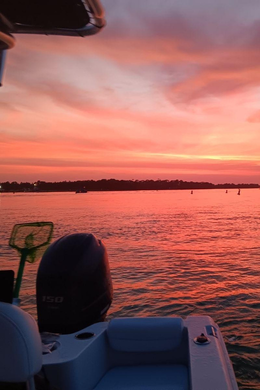 Destin: Snorkeling, Dolphins, and Crab Island - What the standard three-hour route feels like