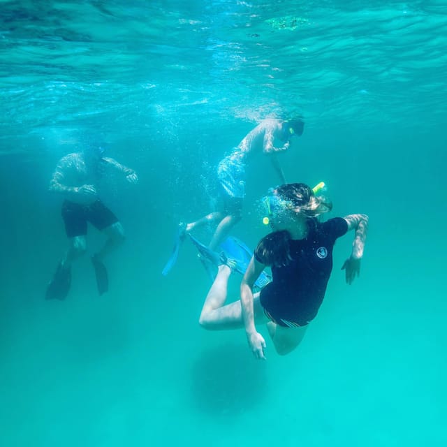 Destin: Snorkeling, Dolphins, and Crab Island - Leaving from 100 Old Ferry Road