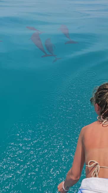 Dhiffushi Dolphin Cruise - Key points at a glance