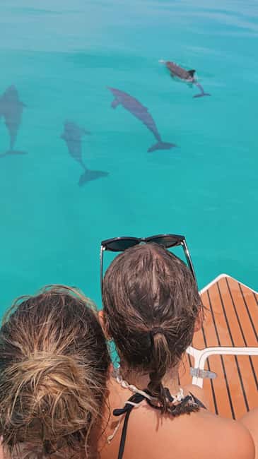 Dhiffushi Dolphin Cruise - A sunset wildlife trip with a simple plan