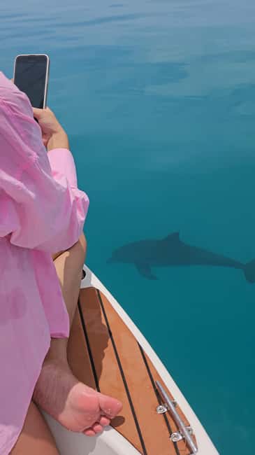 Dhiffushi Dolphin Cruise - Practical tips for a better outing