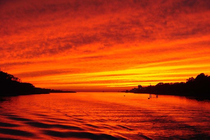Dinner Cruise with Dolphin Watching from Cape May - Key points to know before you book