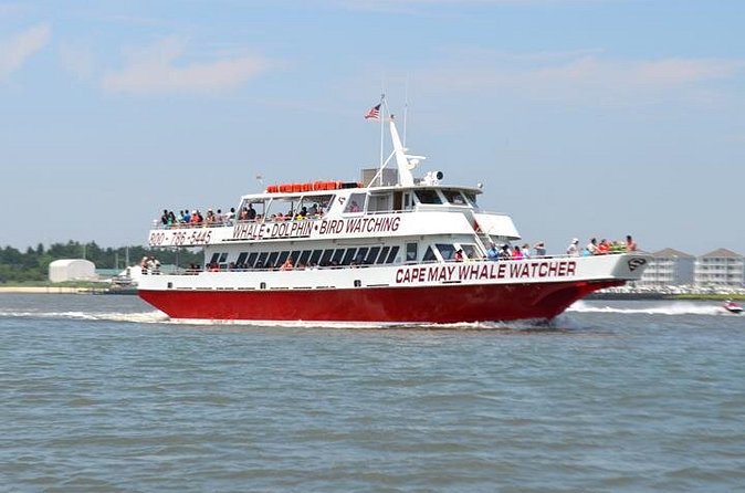Dinner Cruise with Dolphin Watching from Cape May - Weather, cancellations, and realistic expectations