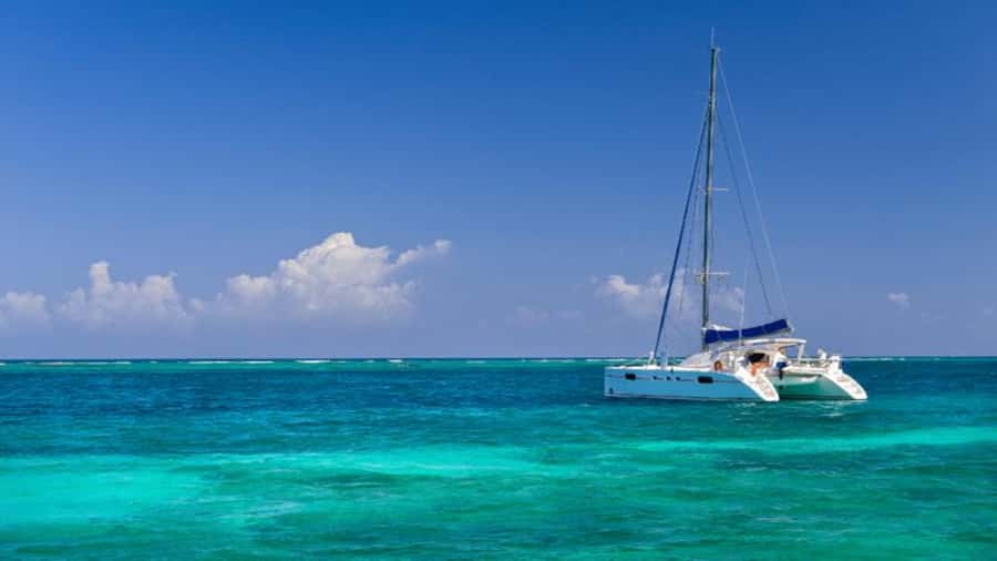 Discover Mauritius: Dolphin Watch, Snorkeling, BBQ Lunch - A full day from your hotel to Black River
