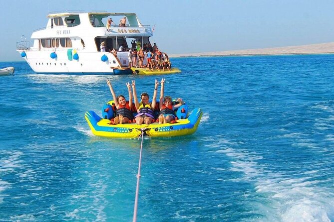 Discover the Magic in Snorkeling Expedition to Dolphin House - Who will enjoy this day most