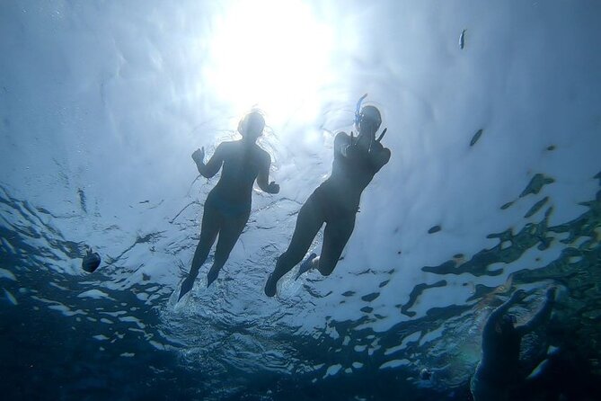 Discover the Magic in Snorkeling Expedition to Dolphin House - Should you book the Dolphin House snorkeling trip?